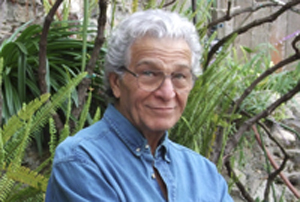 Joseph DiStefano, Distinguished Professor